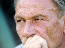 zeman